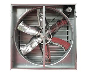 負壓好色TV下载安装價格